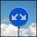 Divine Knowledge and Human Choice