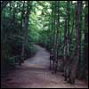 A Path and a Choice